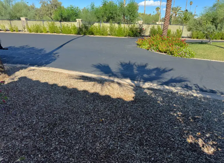 Cactus Removal Service in Gilbert